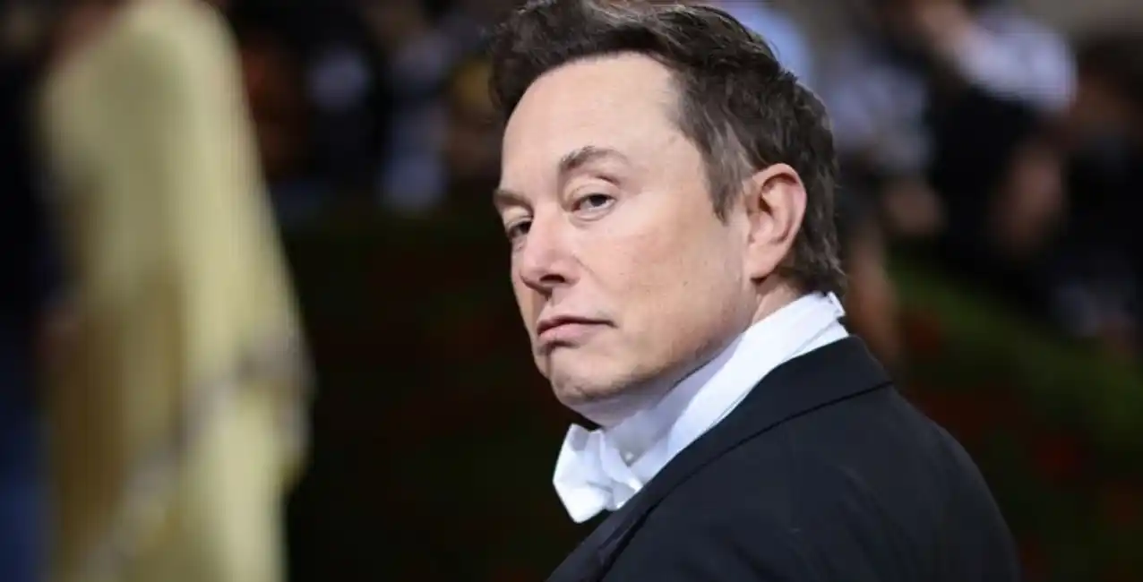 Elon Musk quiere implantar chips en cerebros humanos