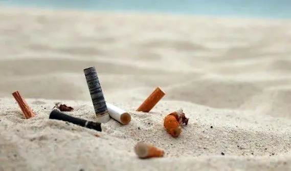 Campaña de recolección