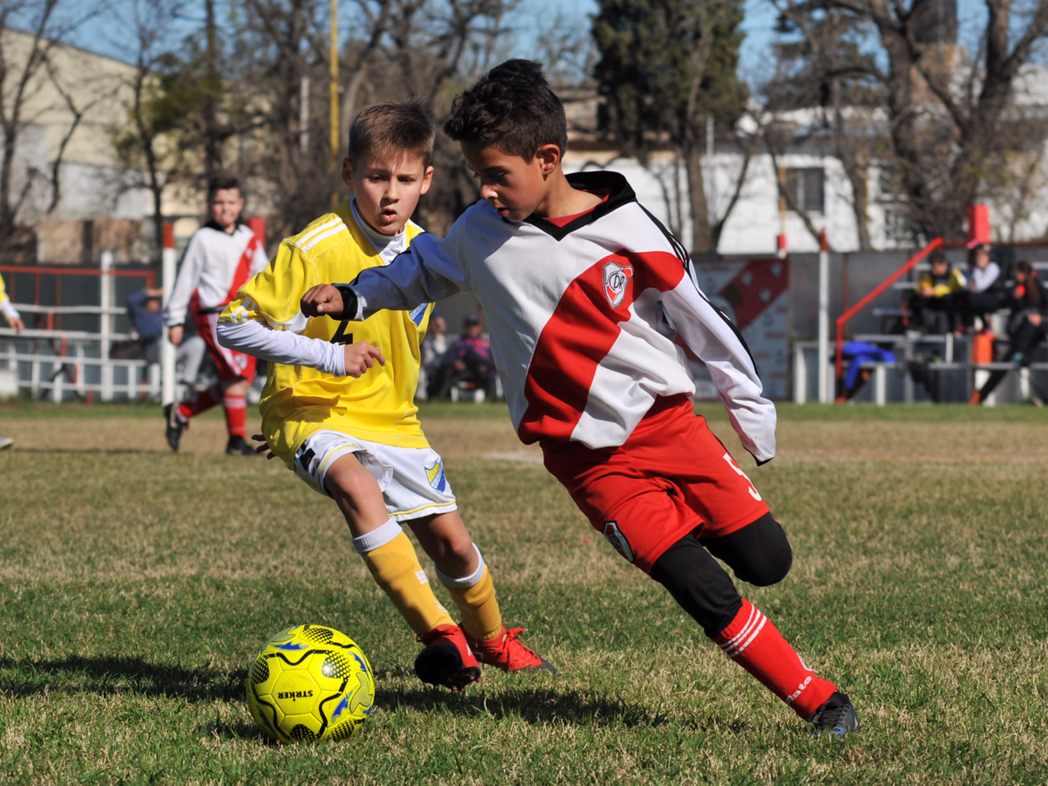 Continúa el Clausura