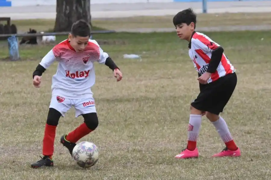Se realizó una nueva edición del Torneo de Fútbol Infantil “Bichito 2024”