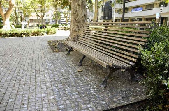 Plaza Pringles, intransitable: cuándo se irían las golondrinas que trajeron un olor nauseabundo