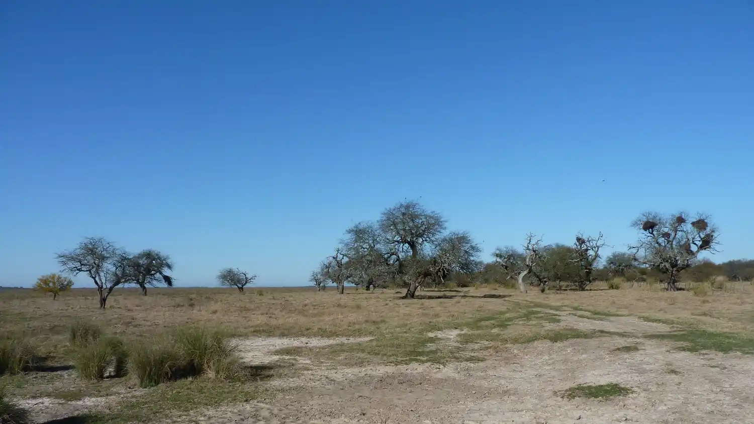 La provincia declaró a “La Elena” como reserva de uso múltiple