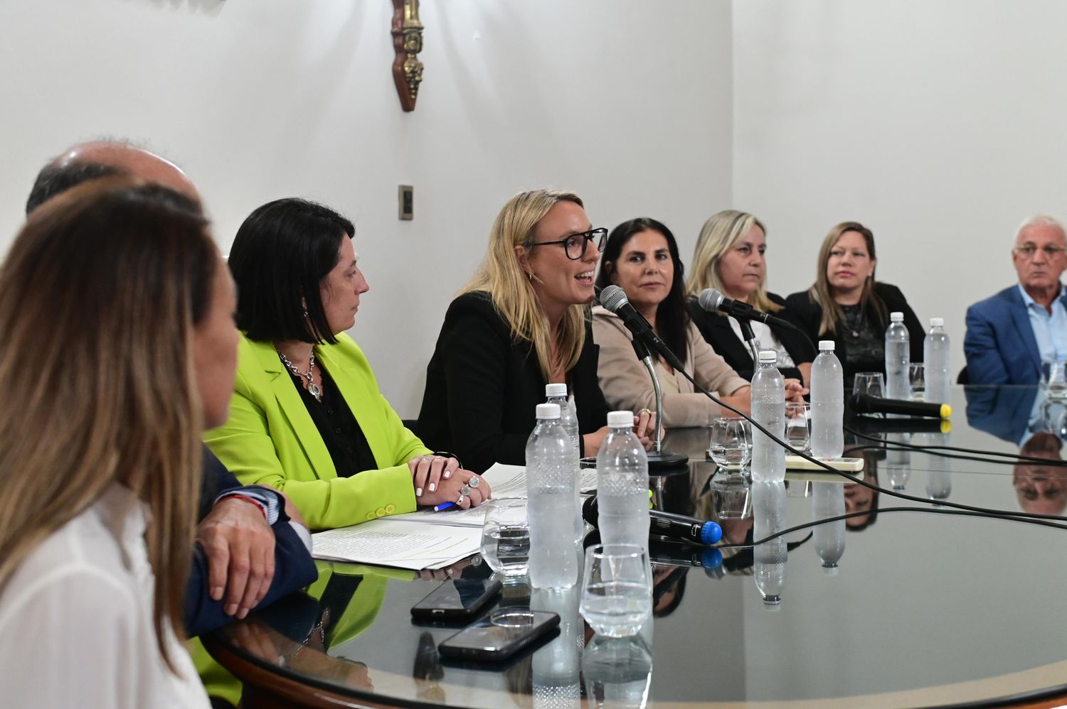 Diputados entrerrianos expusieron los puntos más importantes del proyecto de Reiterancia Delictiva
