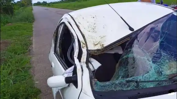 VACA APLASTA VEHÍCULO y le quita la vida a adolescente en Trujillo