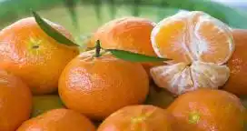Una Cooperativa Citrícola de Misiones exportó mandarinas a Brasil