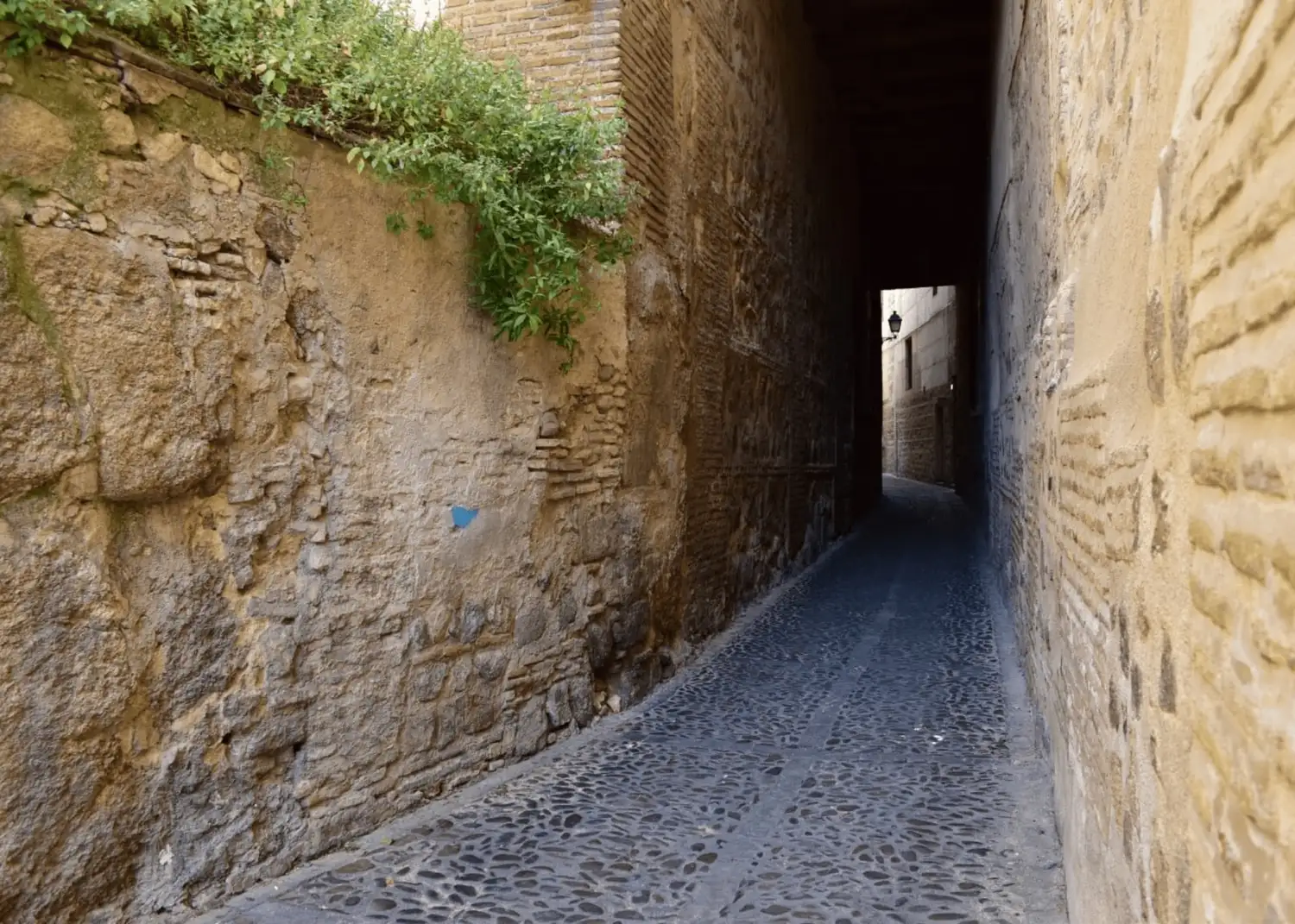 toledo
