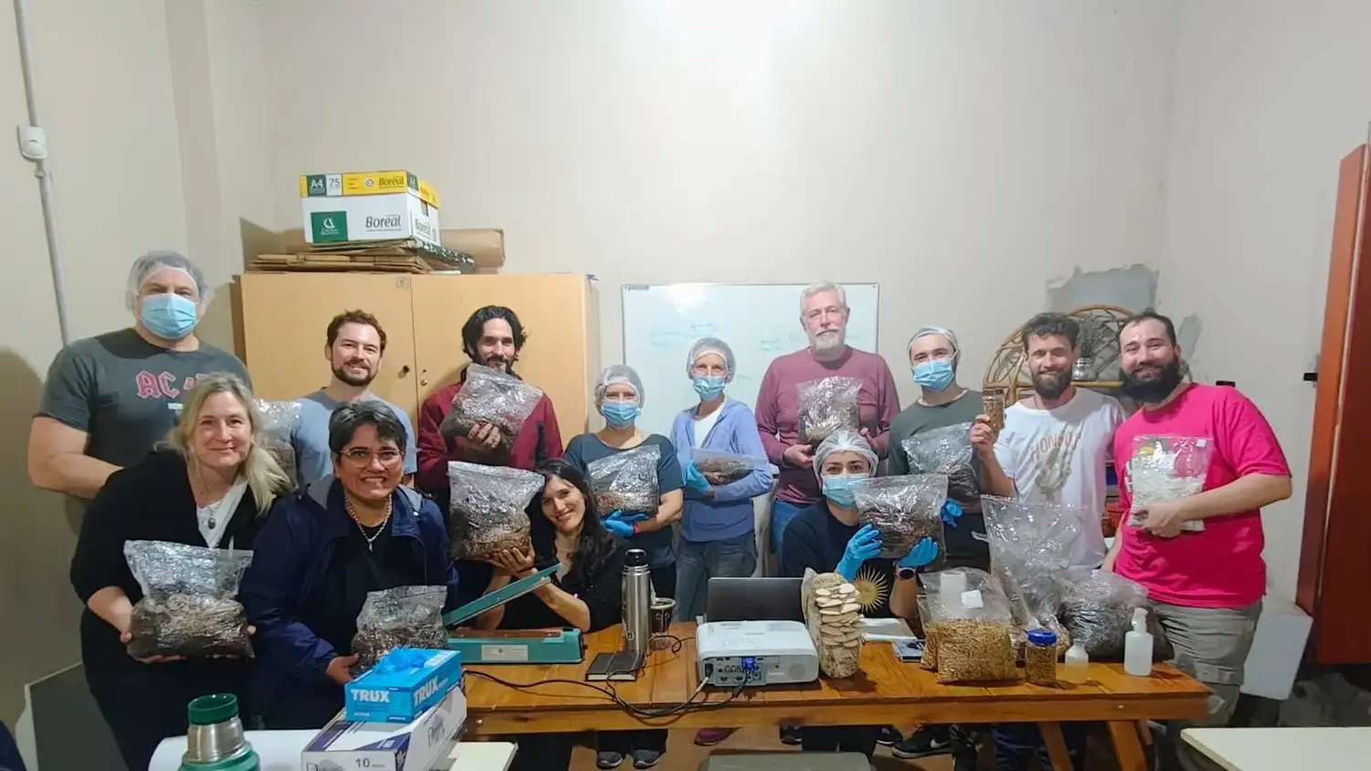 curso de hongos - 2