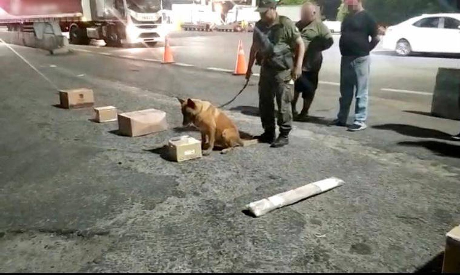 Zárate: El perro "Dexter" detectó marihuana líquida en sachets de miel