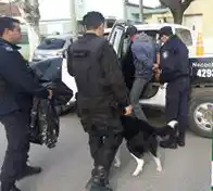 Sigue la investigación por el violento asalto al sindicalista Mario Lastra en su vivienda