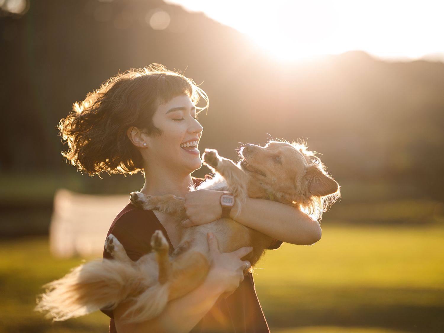 Día Mundial del Perro: celebrar a quienes transforman nuestras vidas con amor y cuidado responsable