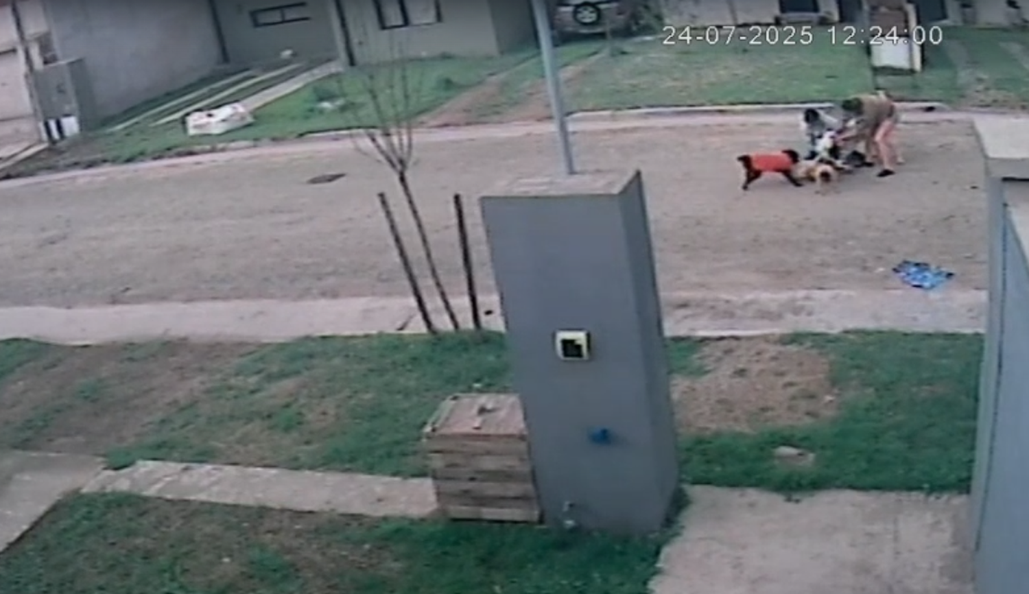Un hombre y su perra fueron brutalmente atacados por un dogo