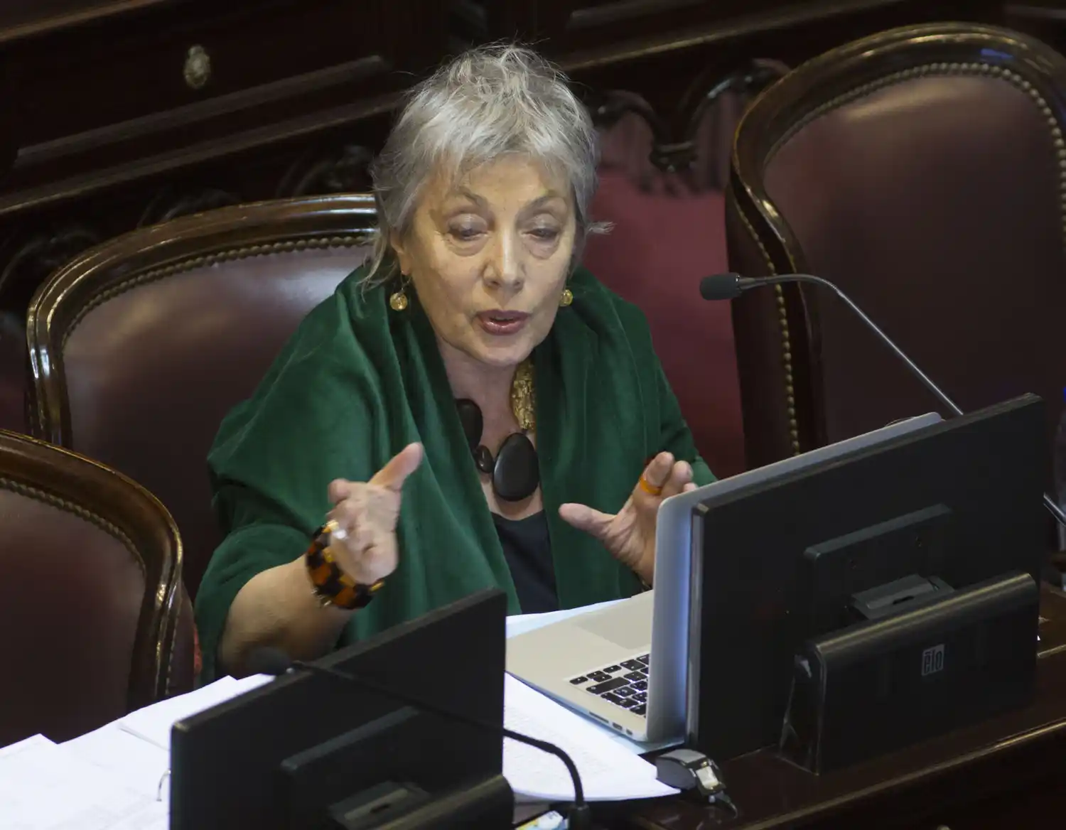 El Concejo estudiará un proyecto que crea un programa de derecho a la identidad biológica 