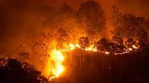 Colombia bajo fuego: varios incendios queman al país