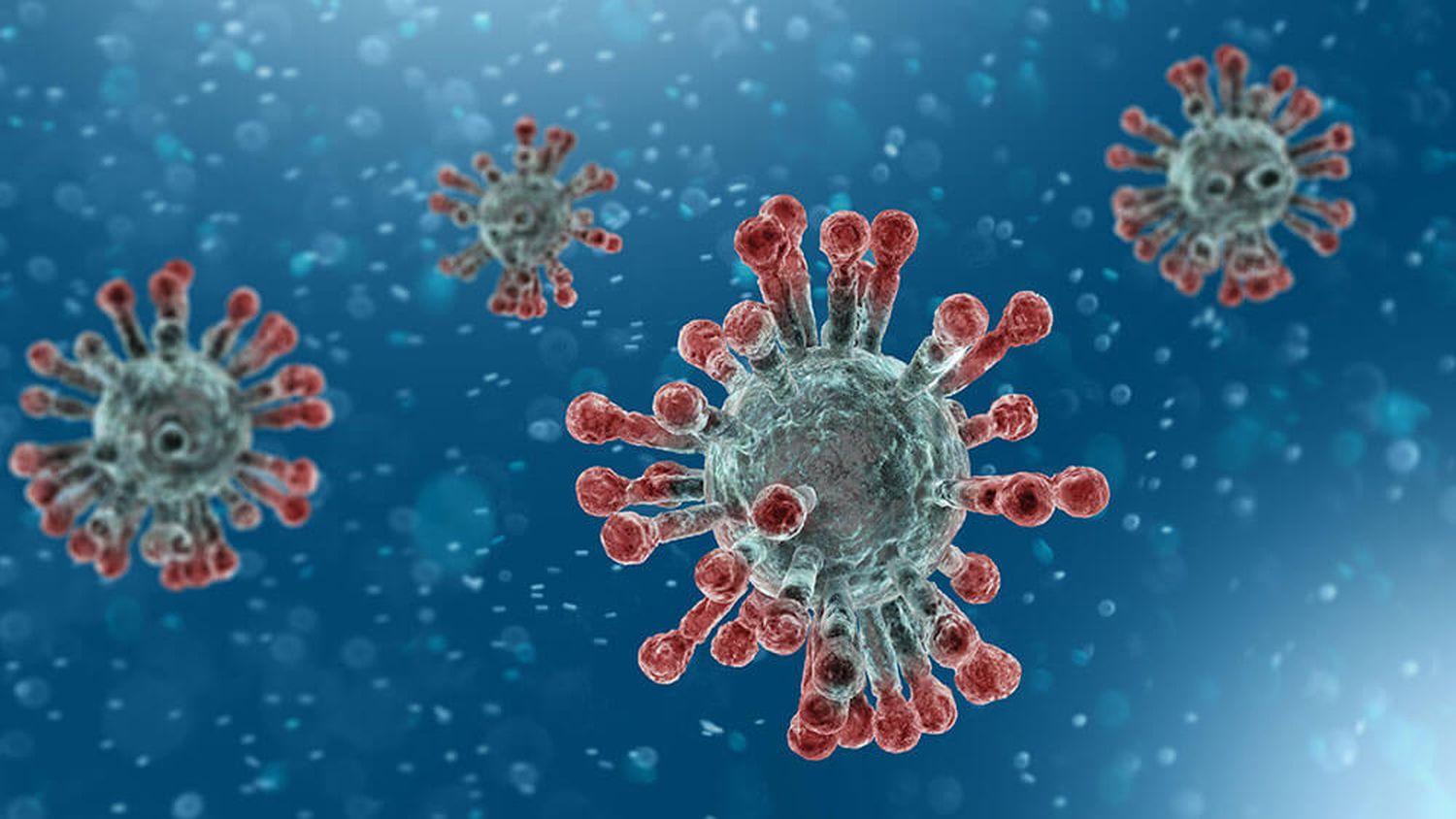 Coronavirus en Argentina: Recomendaciones y medidas para las escuelas y licencias excepcionales en trabajo