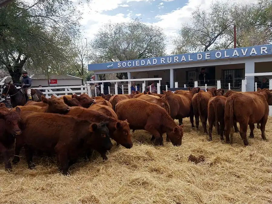 Mondino desteta en Olavarría la 6ª edición de “El Origen”