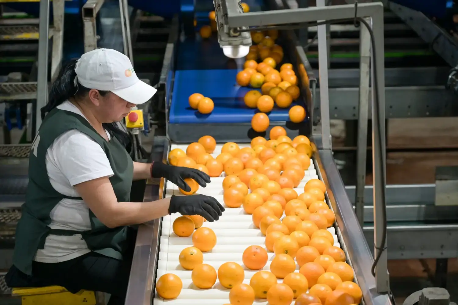 La provincia y la Fecier avanzan en una agenda de trabajo para el desarrollo del sector citrícola