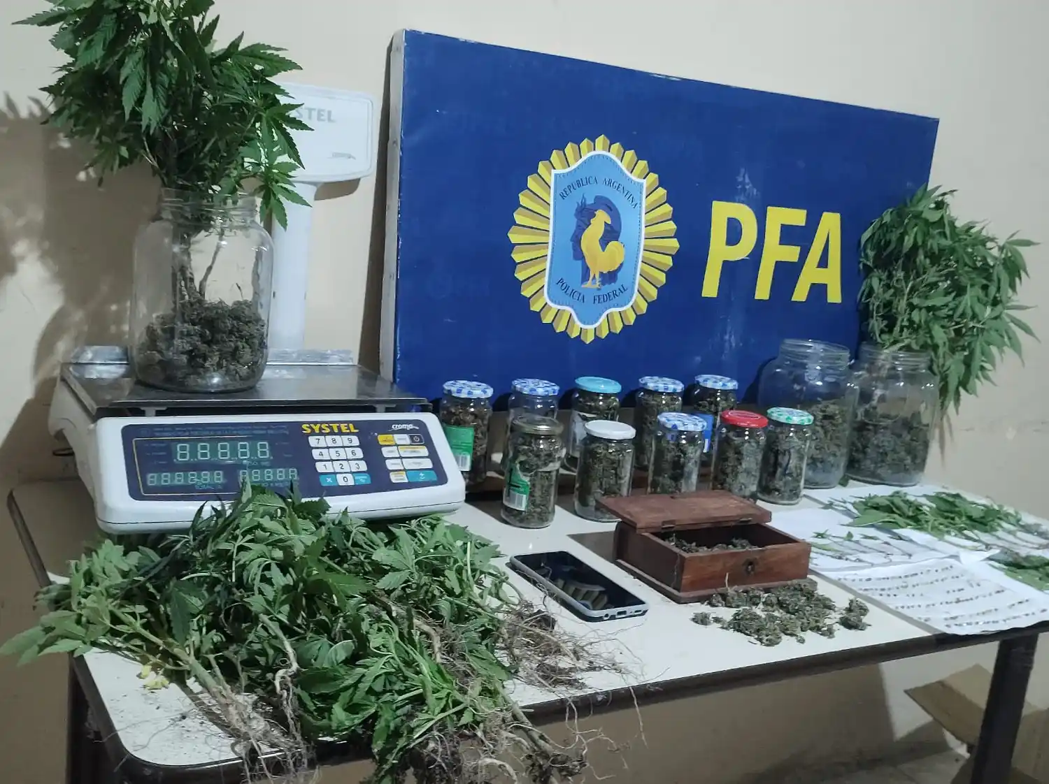 La Policía Federal secuestró marihuana tras allanamiento en Chascomús