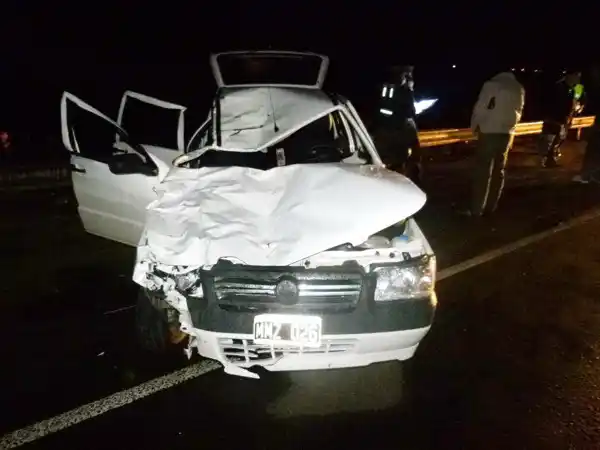Un auto y un camión chocaron a 5 caballos sueltos sobre ruta 14