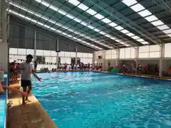 Intensa actividad en el natatorio del centro de educación física