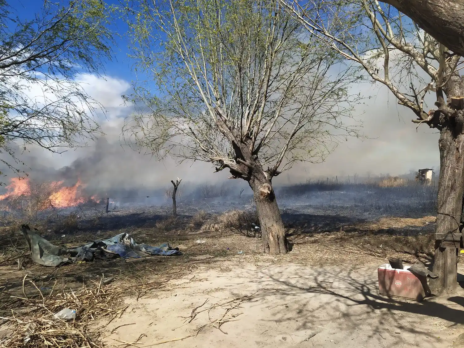 Incendios del Delta: Recomiendan no usar lentes de contacto ante la presencia de humo