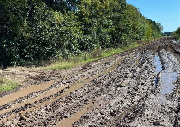 Un barrial: exigen respuestas al Municipio sobre el deplorable estado del camino a la escuela 34