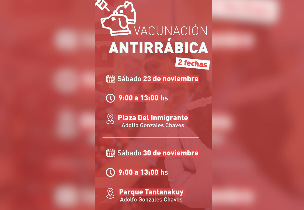 Chaves: nuevas jornadas de vacunación antirrábica