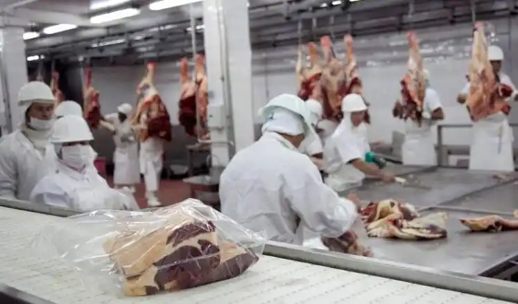 Argentina exportó por primera vez carne vacuna a Japón