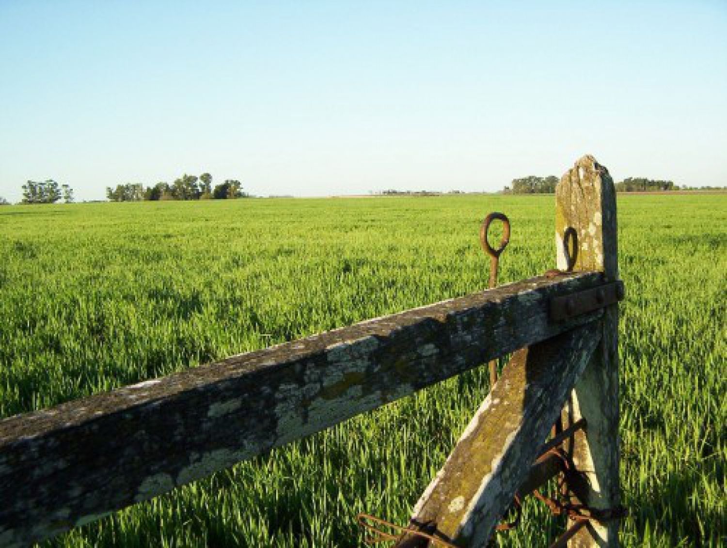 Perspectivas que ofrece 2017 para el sector agroalimentario