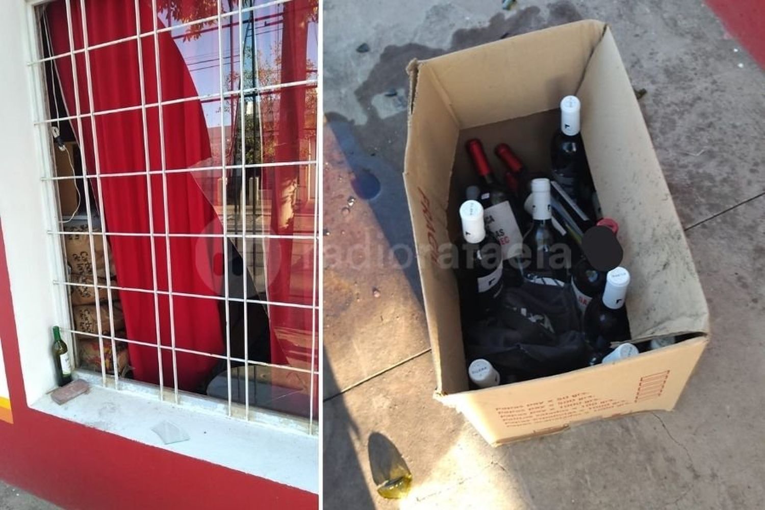 Rompieron la ventana de un comercio y se prepararon una caja llena de vinos lista para llevar