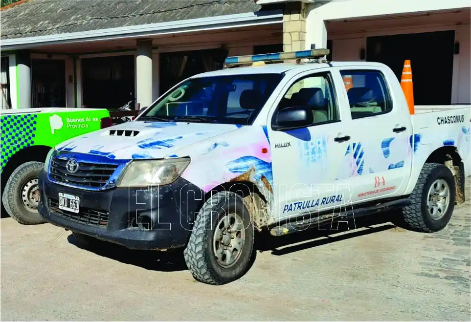 Se recuperaron ocho vaquillonas y se ordenó detención a un masculino