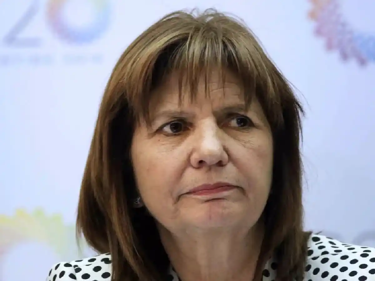 Bullrich: “Con una Taser en dos segundos bajaste al rugbier fortachón”