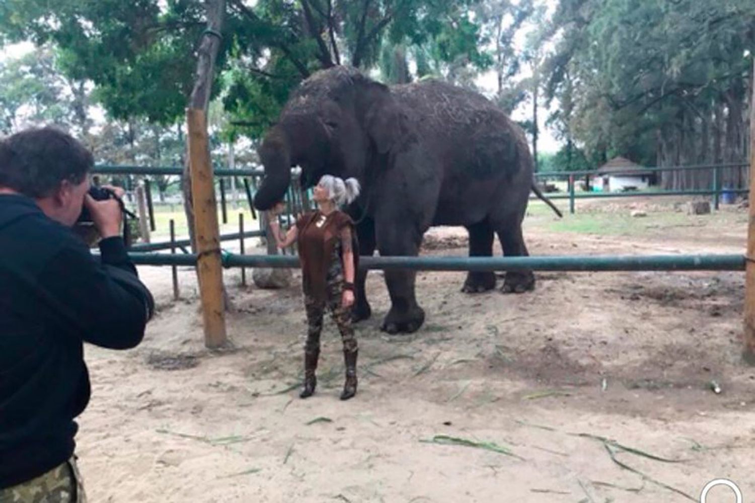 Daniela Cardone demandó al Zoo de Luján