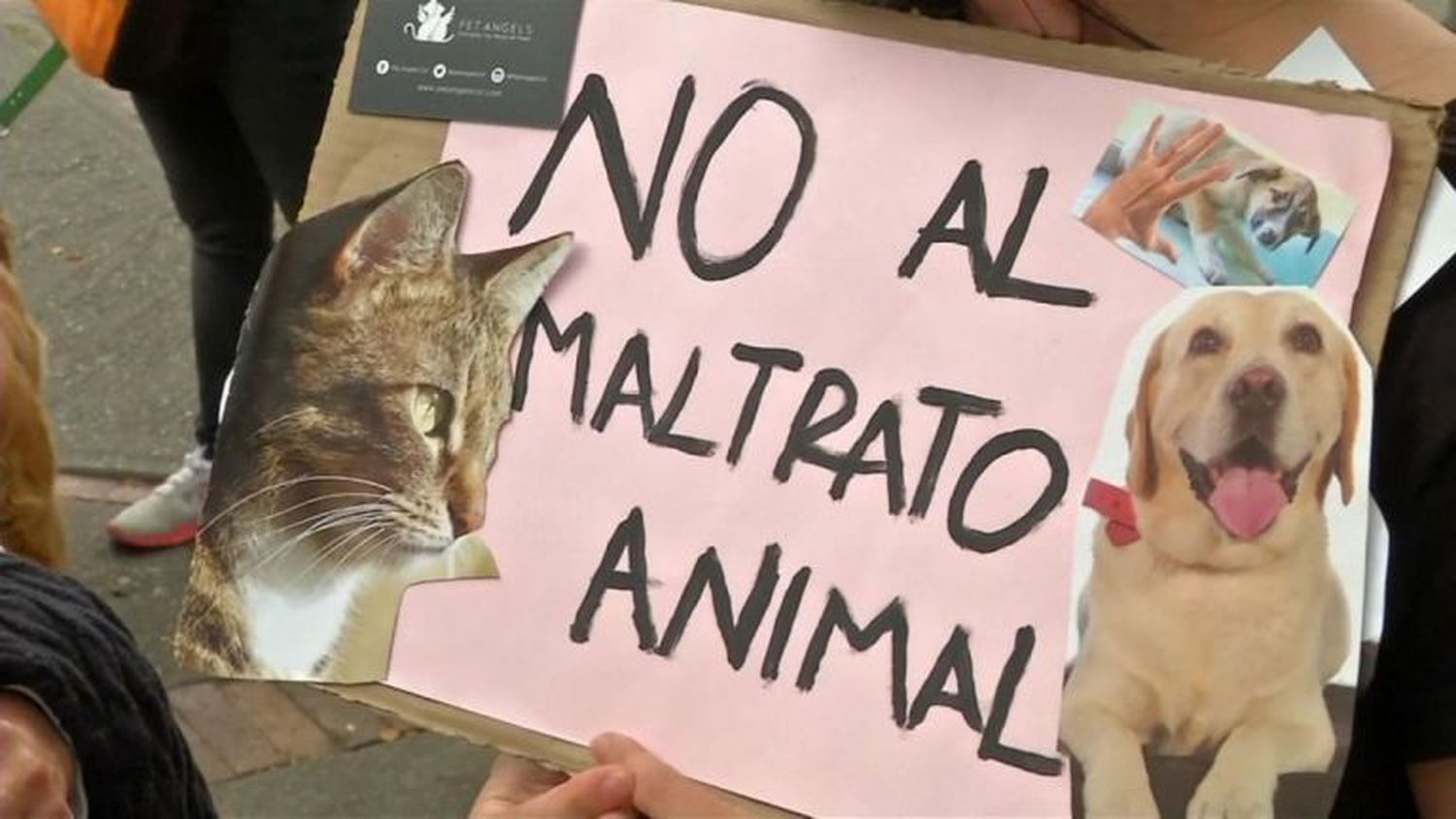 Allanamiento por denuncia de maltrato animal