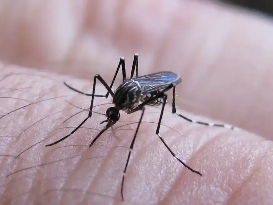 Hasta el 26 de abril, fueron confirmados 6.857 casos en la Semana Epidemiológica 17.