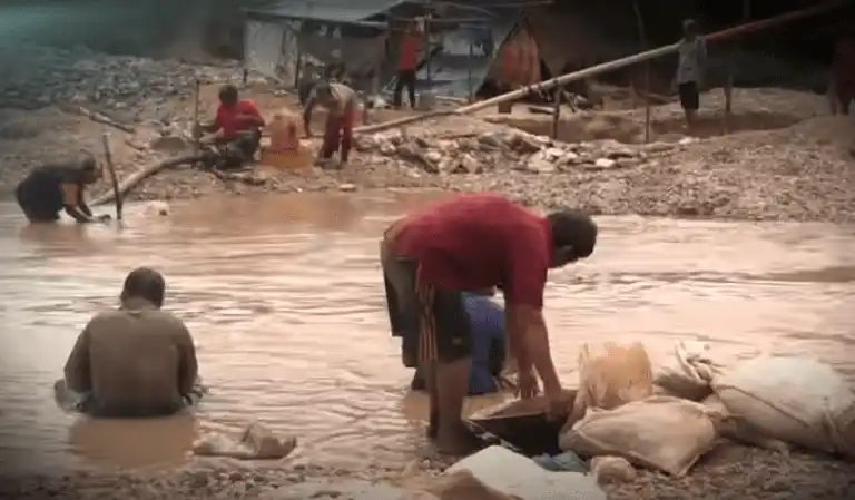 ¿LA FIEBRE DEL ORO TOCÓ A LOS INDÍGENAS? Se dejan reclutar para minería y narcotráfico