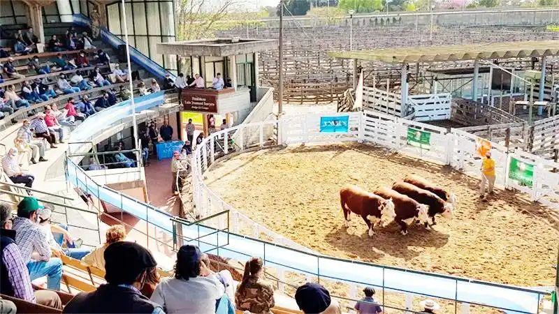 La Expo Rural Gualeguaychú 2021 será nuevamente una �Sexposición ganadera⬝