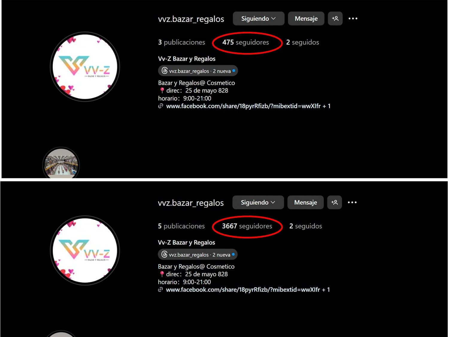 Seguidores de vvz