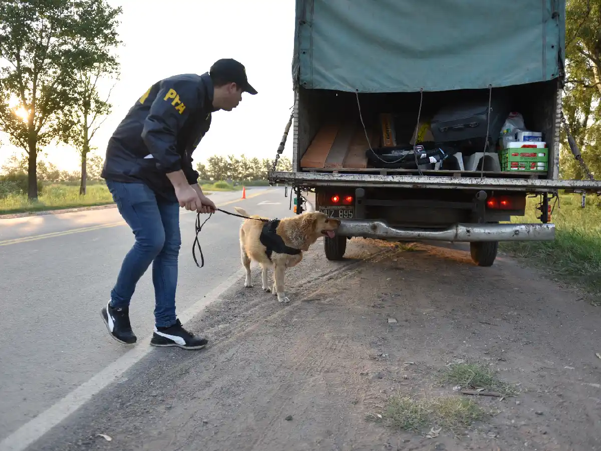 Continúan los controles de la Federal en las rutas de la ciudad   