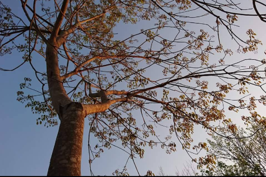 Se define la unificación de barrios Villa Aero Club y Villa Los Álamos