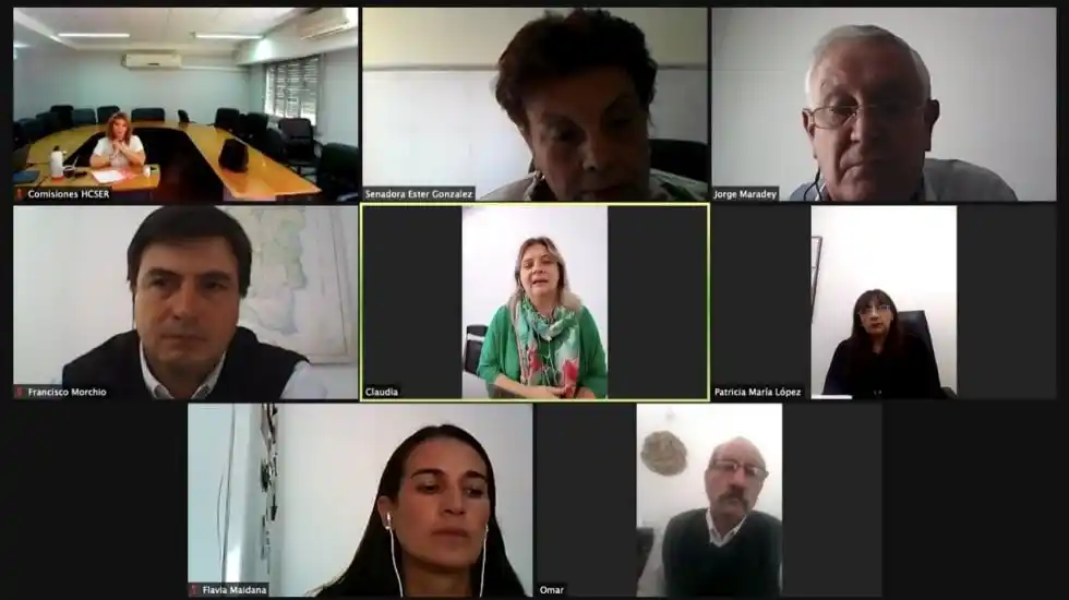 Morchio se reunió en la Comisión de Educación, Ciencia y Tecnología.