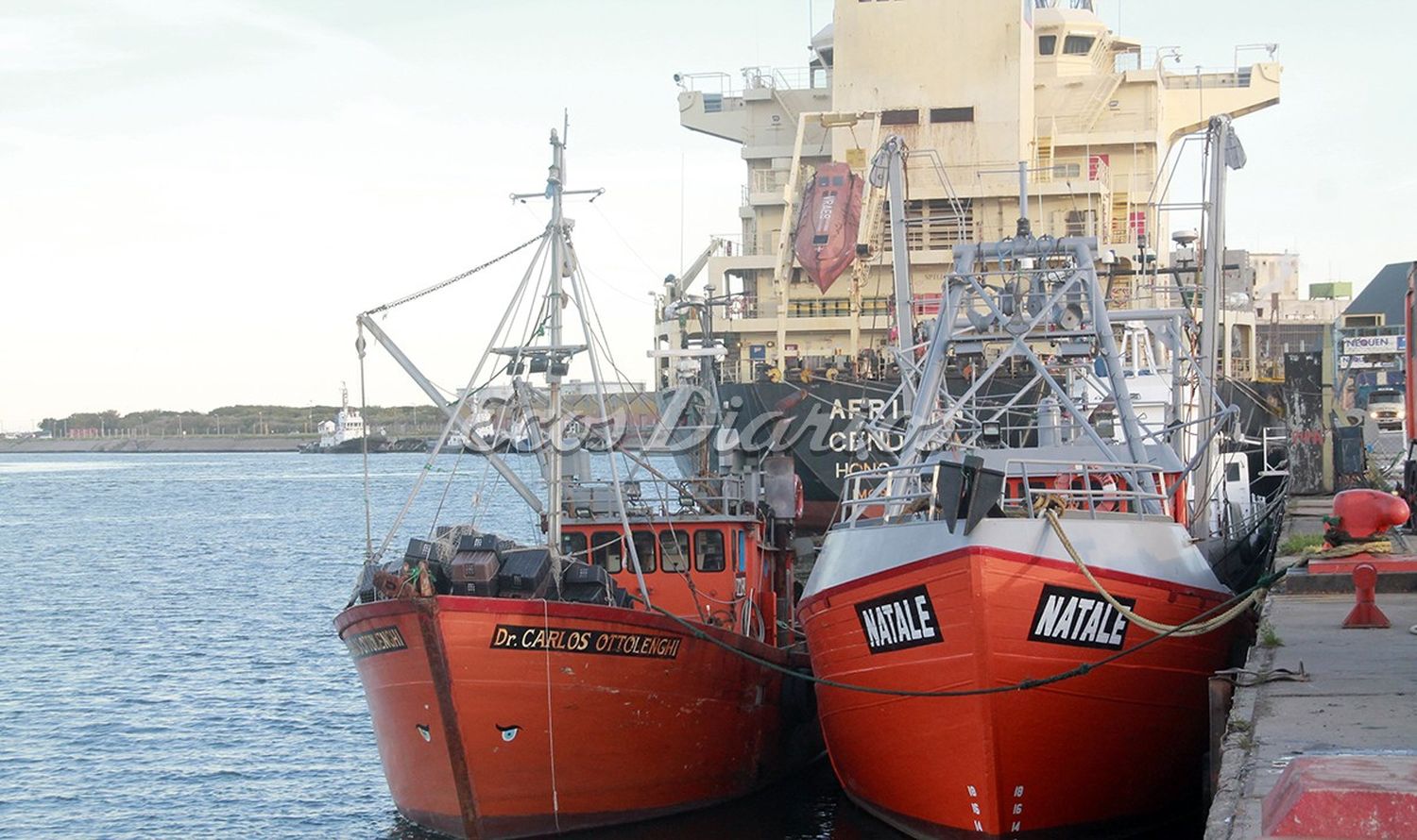 Pescadores. Volverán a tener su fiesta en Necochea el próximo 1º de mayo