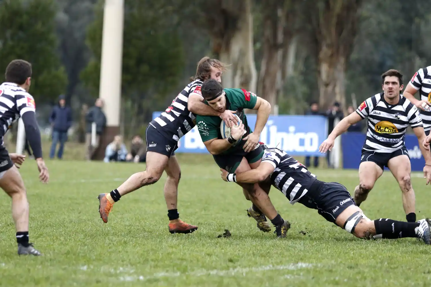 Mar del Plata y Sportiva jugarán la final del Regional Pampeano
