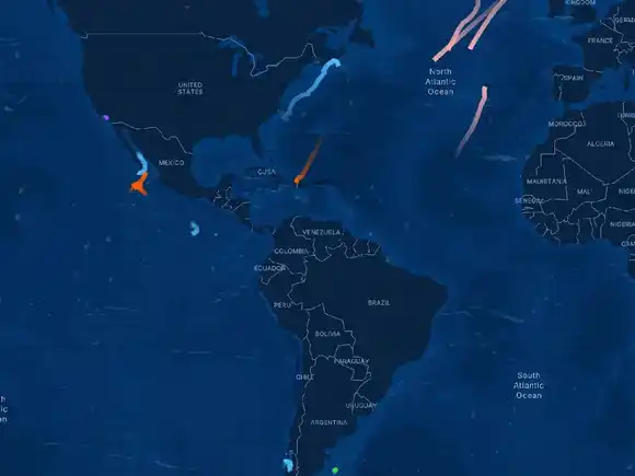 Las rutas migratorias de las ballenas revelan las “superautopistas” ocultas en los océanos del mundo