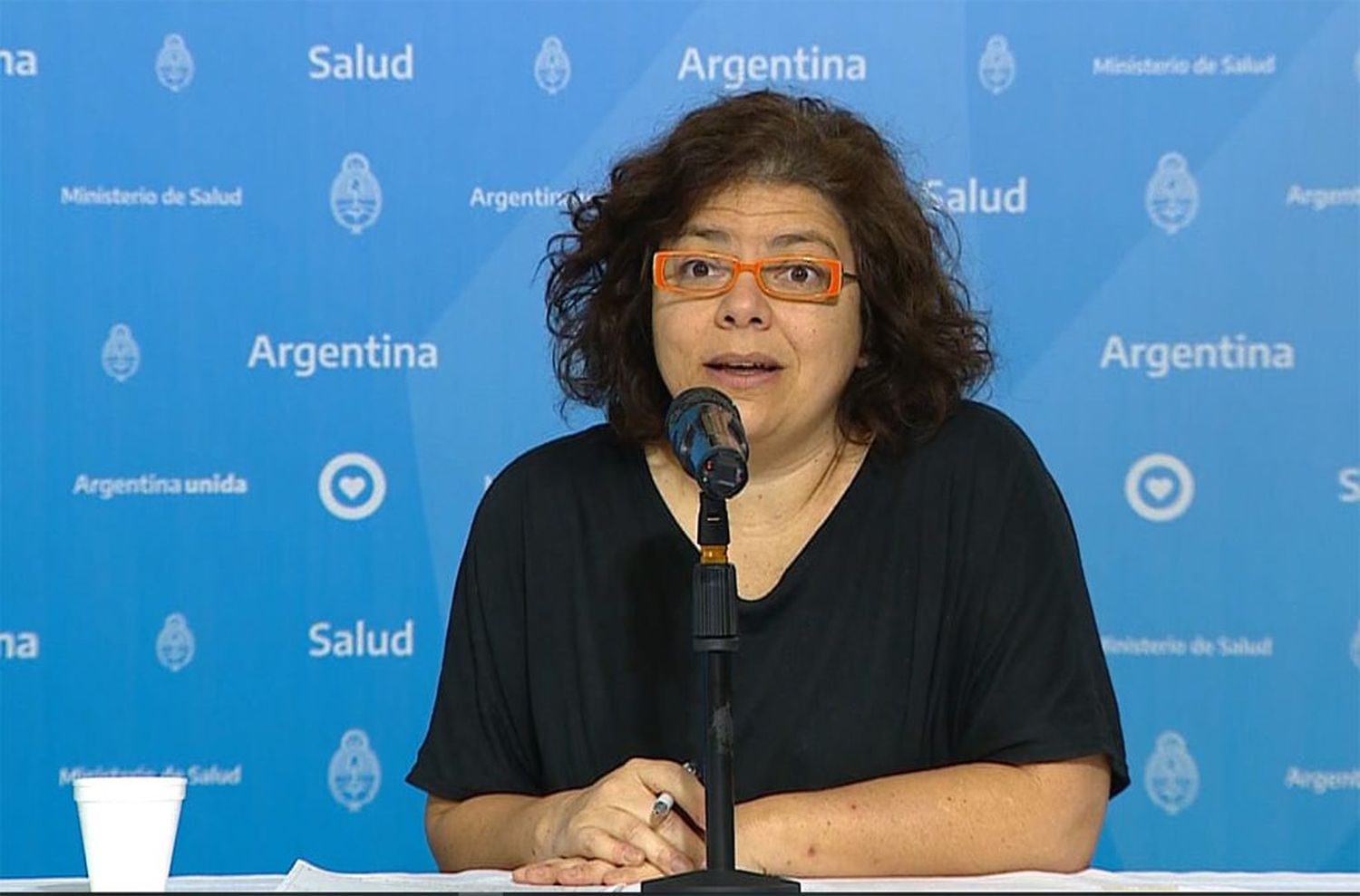 Fernández desplazó a González García y designó a Carla Vizzotti