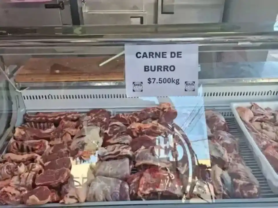 Polémica por la venta de carne de burro en Argentina