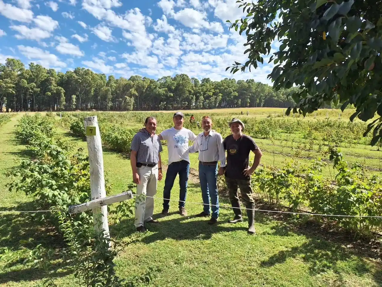 Marini visitó una plantación de frambuesas