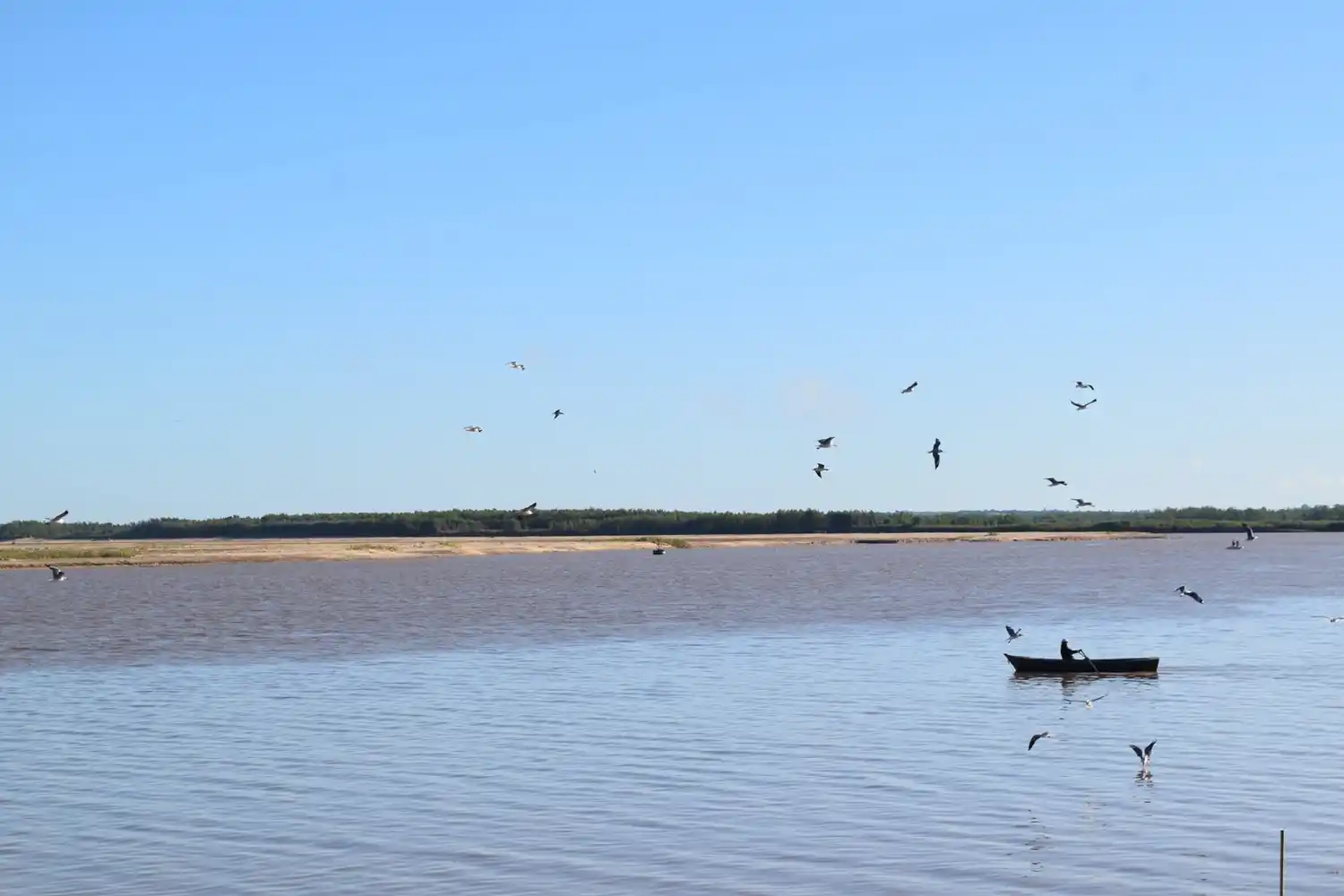 Reducen un 50% el cupo de extracción y acopio de peces en la provincia