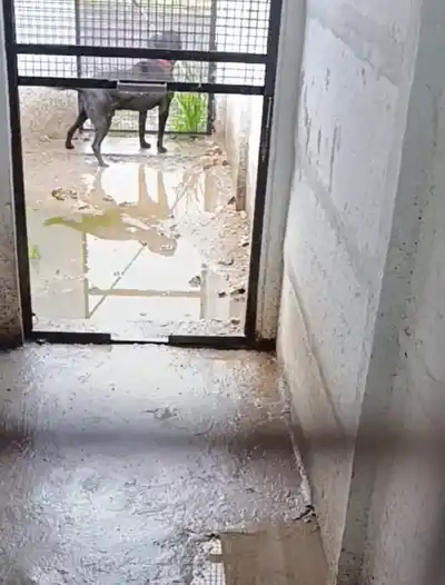 Los caniles desbordados de barro tras la lluvia caída durante la semana.