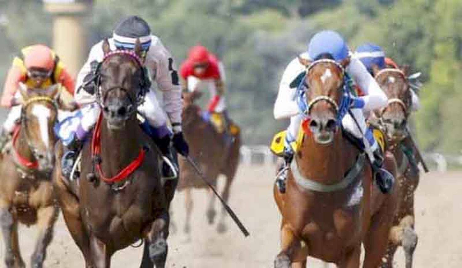 Jueves 10: Actividad Hipódromo de La Plata