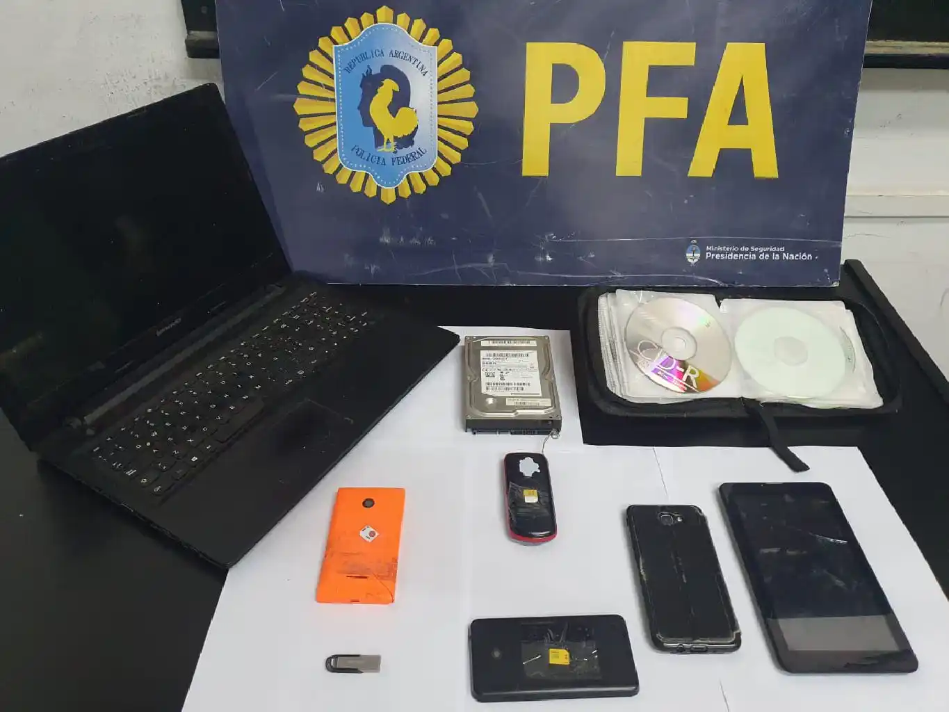 Pinamar: Un detenido por distribución de pornografía infantil